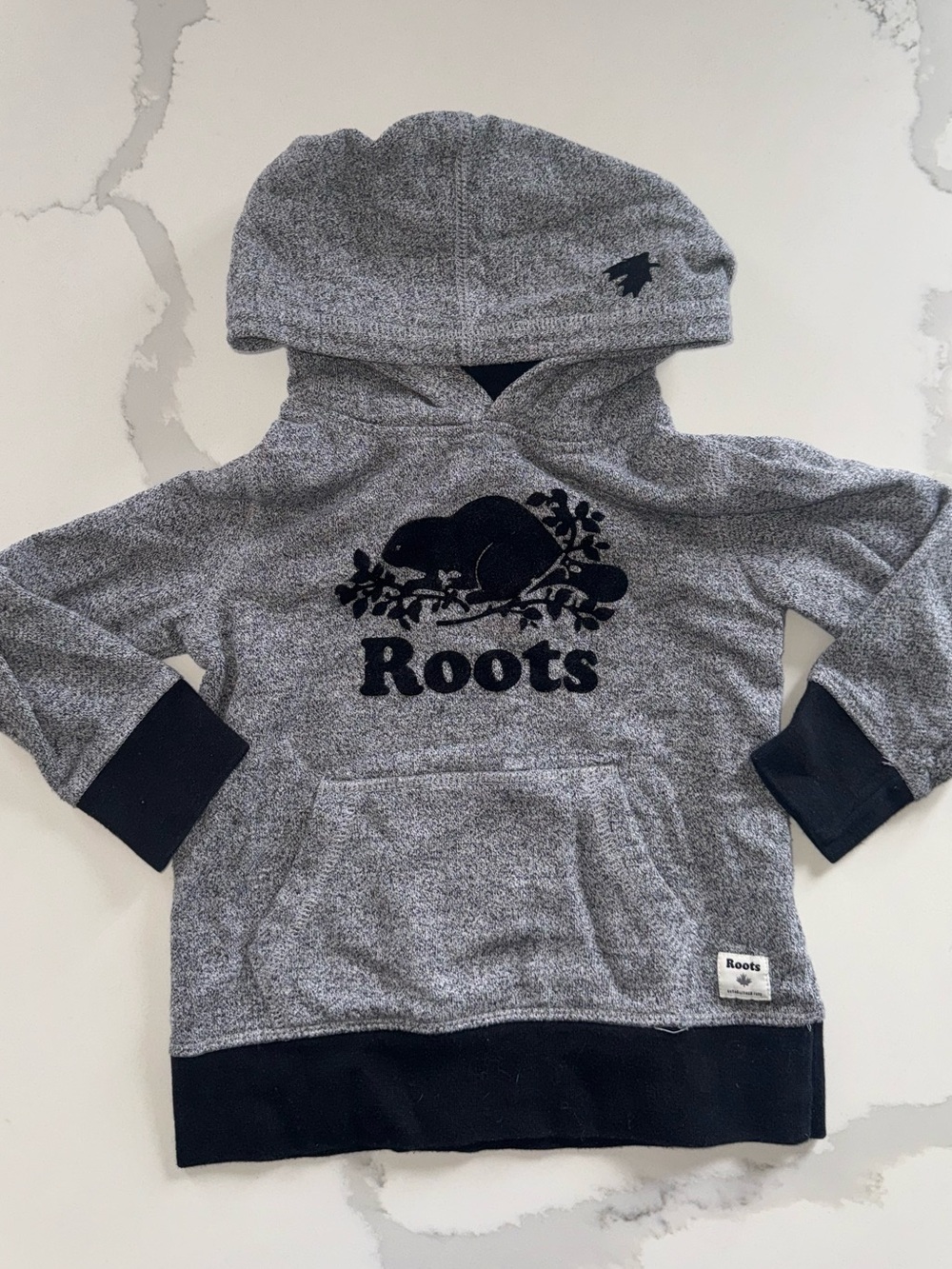 Roots Kids Grey Hooded Sweatshirt with Black Beaver Logo